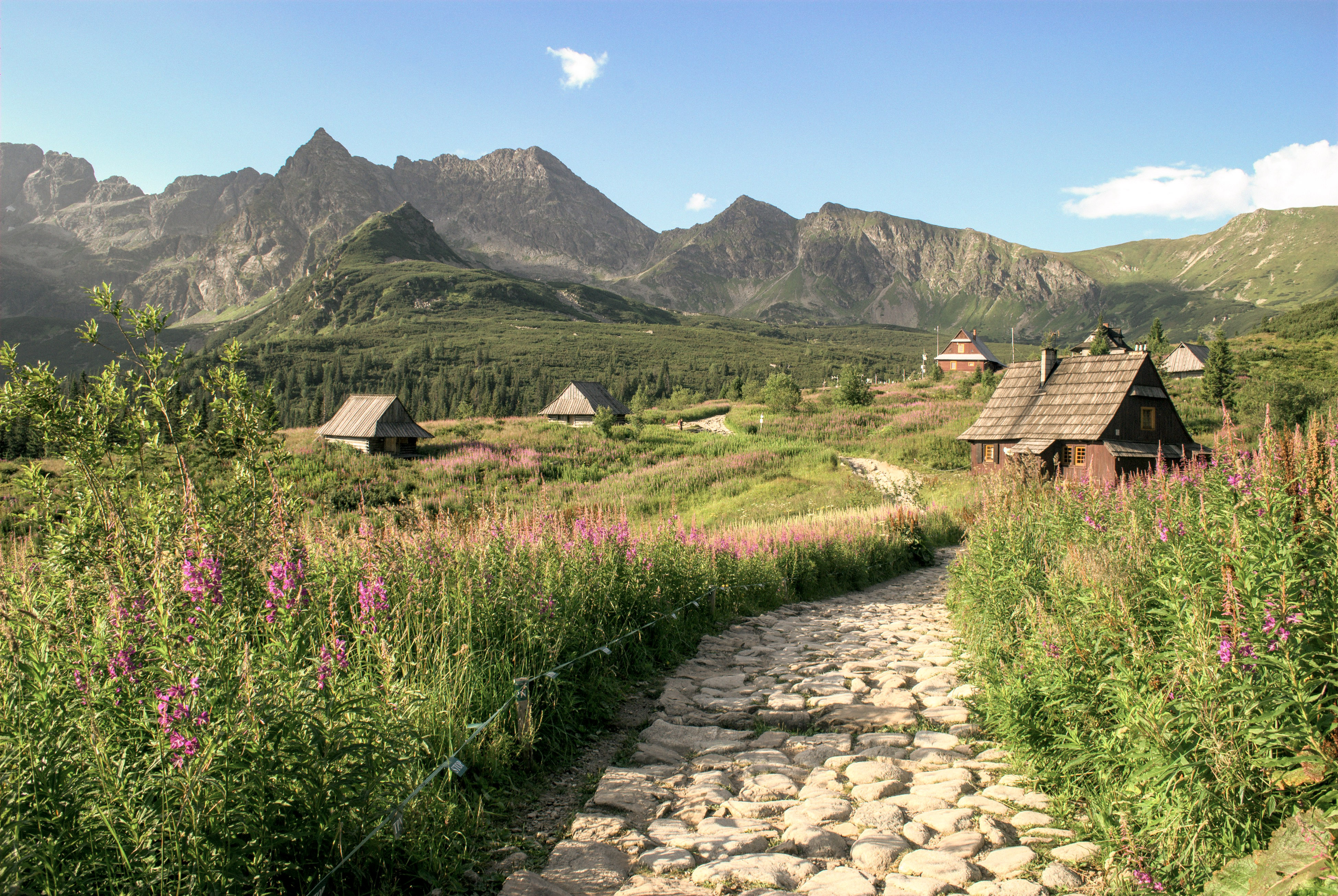 Zakopane Tatra.jpg