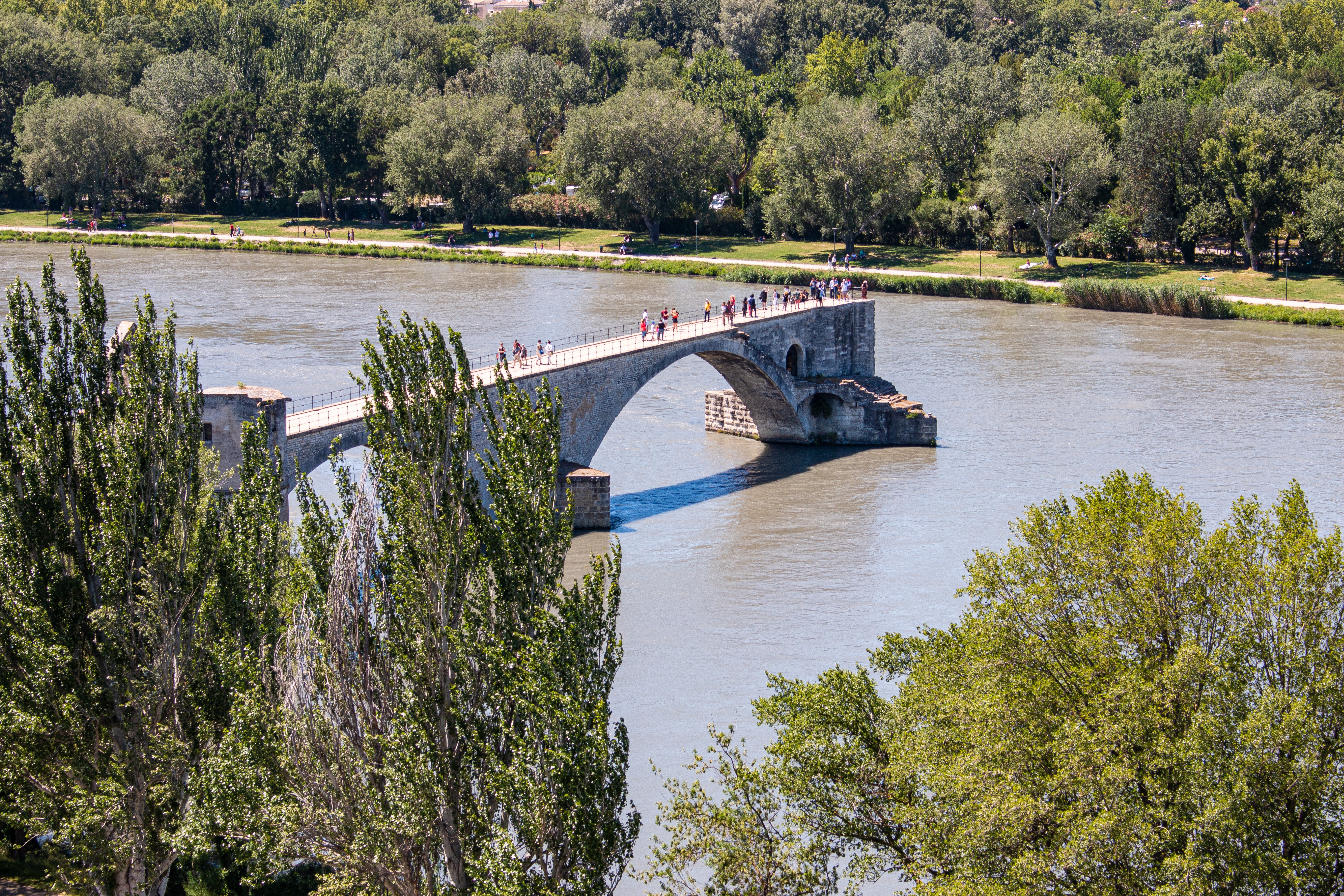 avignon).jpg