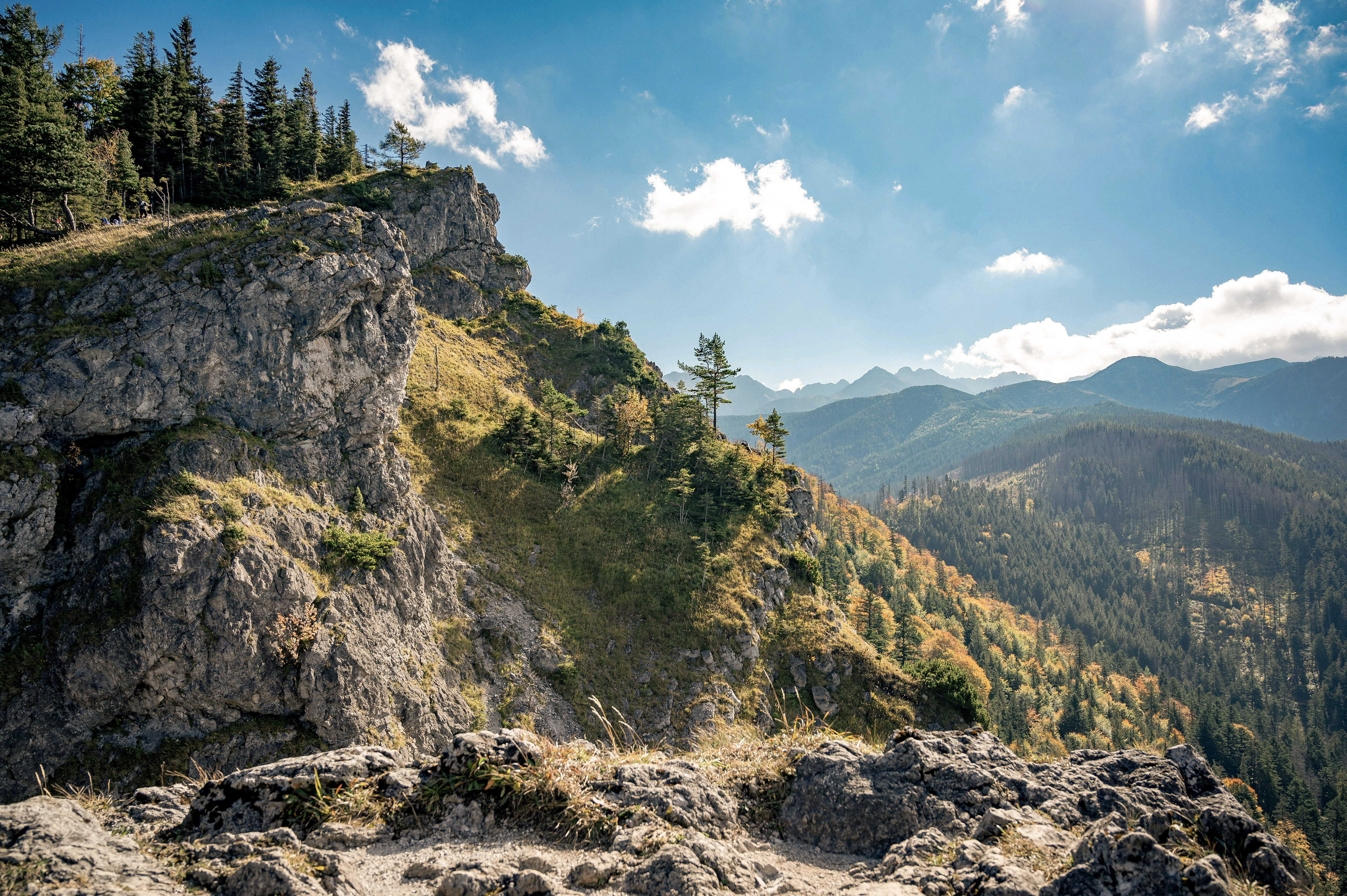 piotr-musiol-VV06oFMFpuI-unsplash (1).jpg