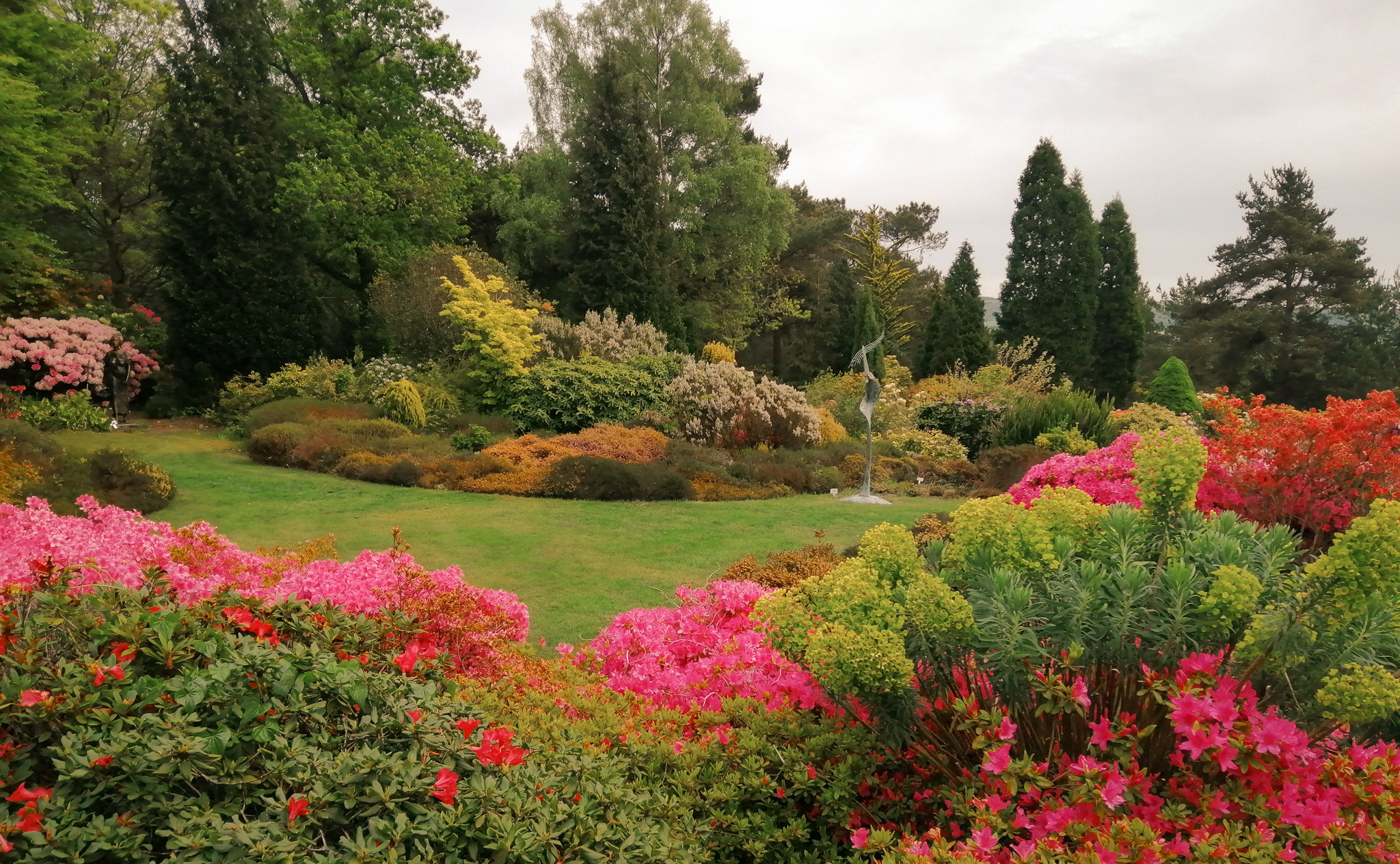 Chelsea Flower show 5.jpg