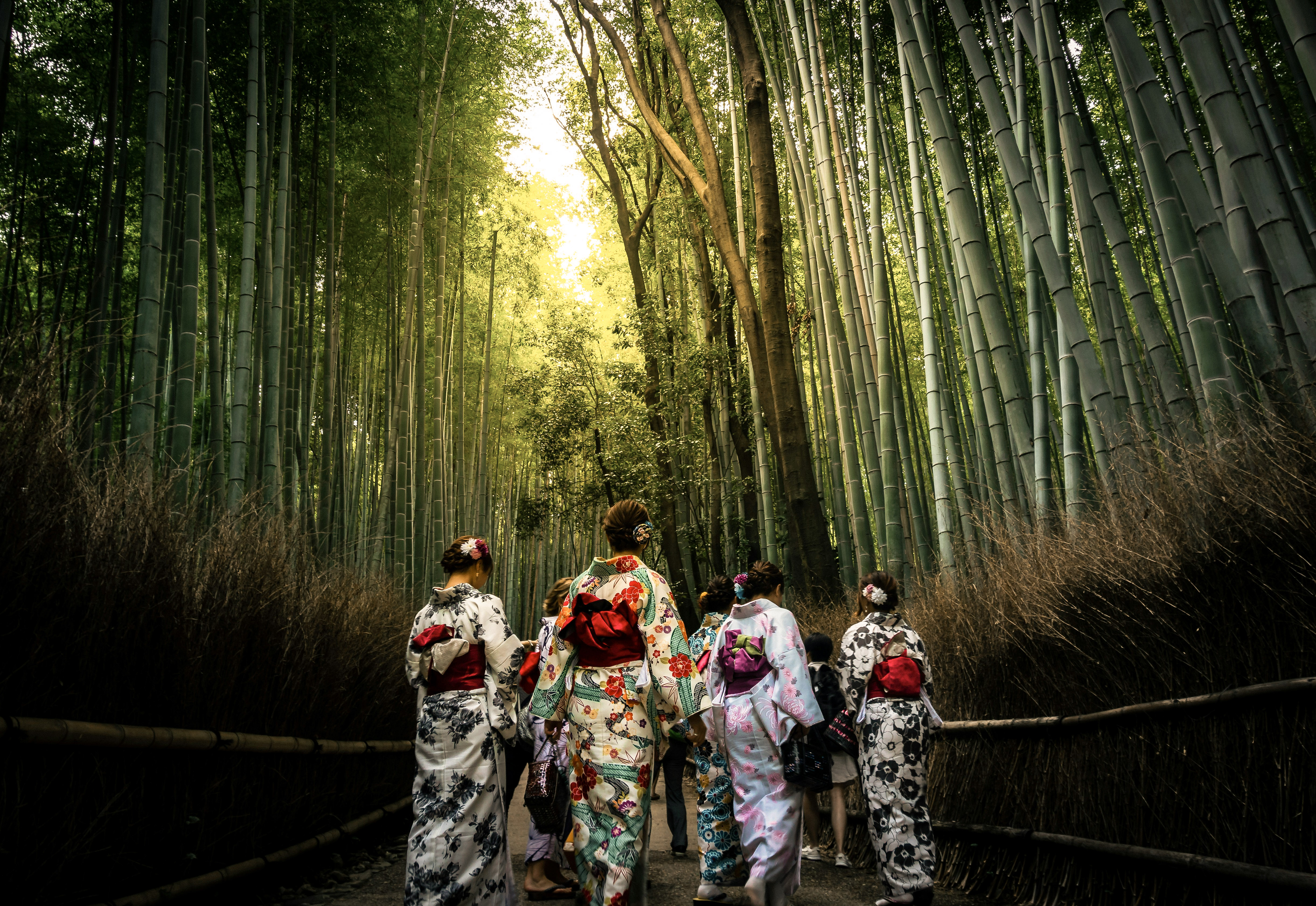 arashiyama2-unsplash.jpg