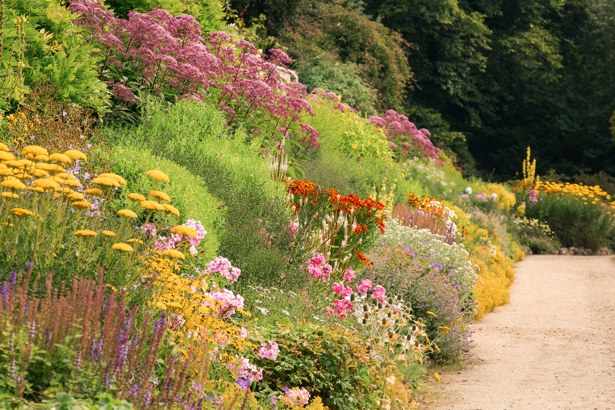 England 1 SR_Omtanke_Base-2.jpg