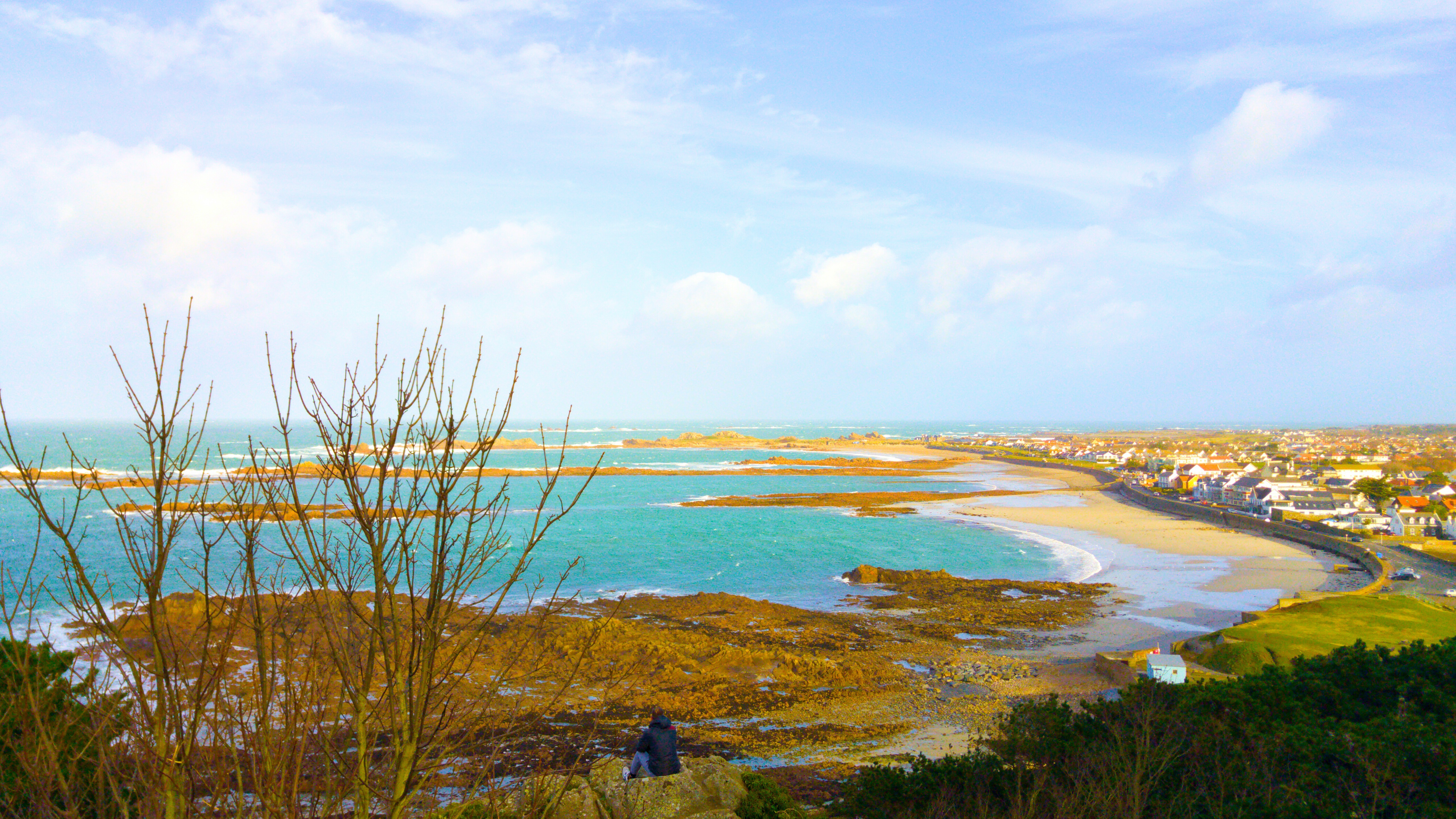 8364783-guernsey-4705728 (1).jpg