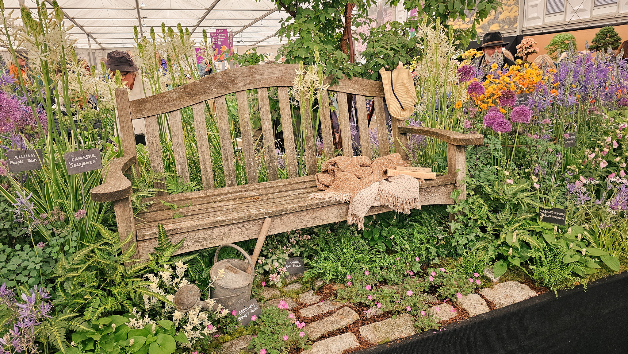 Chelsea Flower show 2.jpg