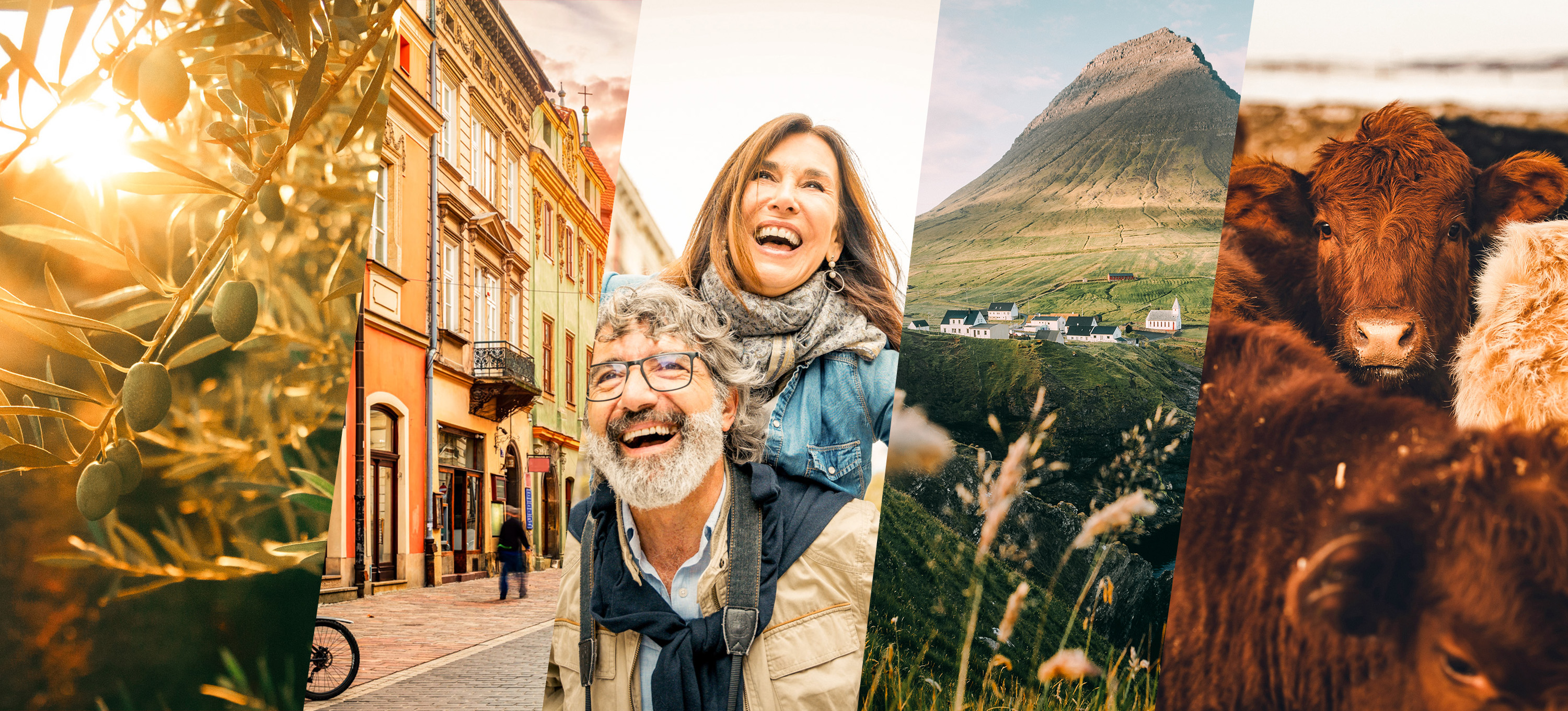 Collage start SR.jpg