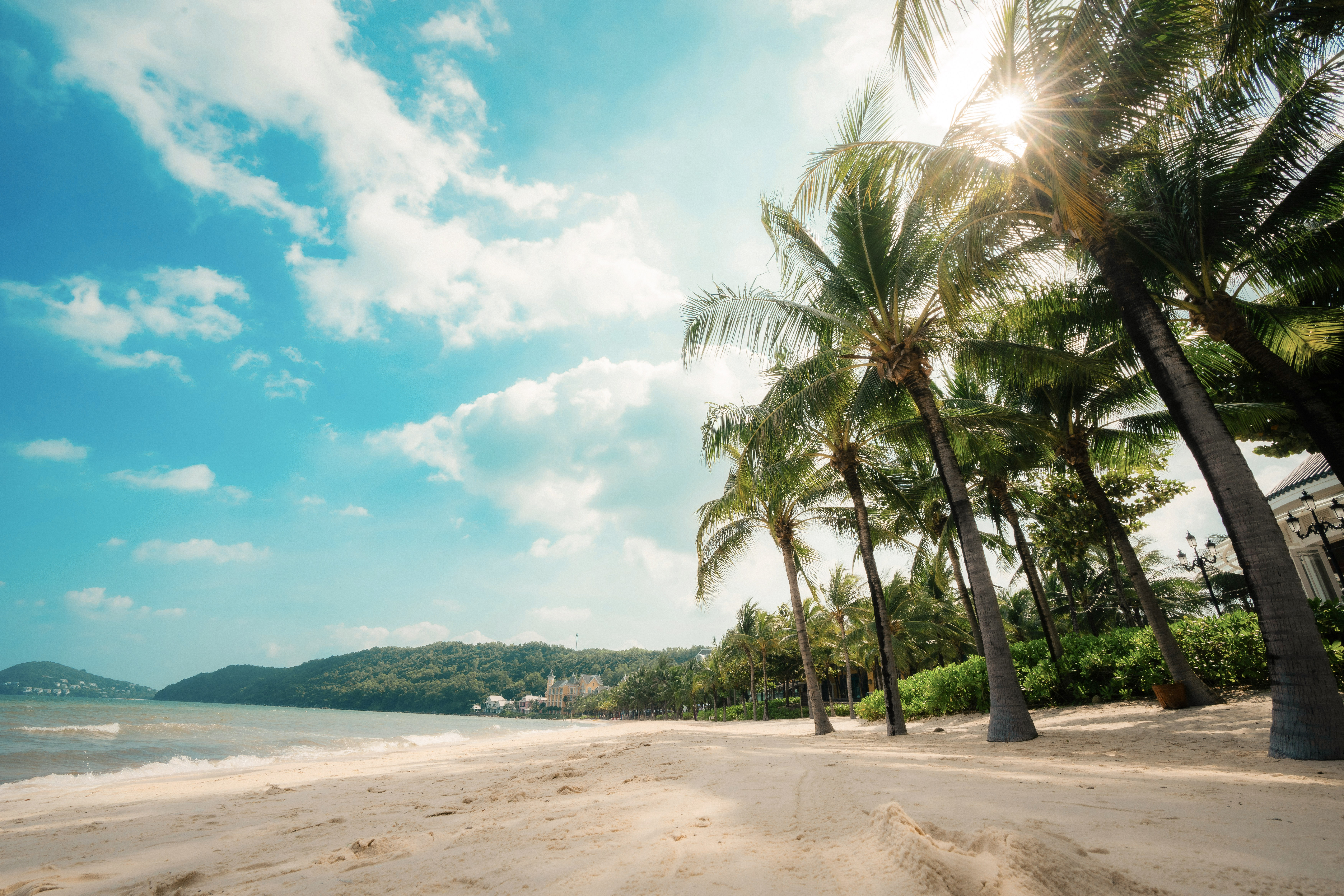 vivu-vietnam-3wqun2PnZqo-unsplash (1).jpg