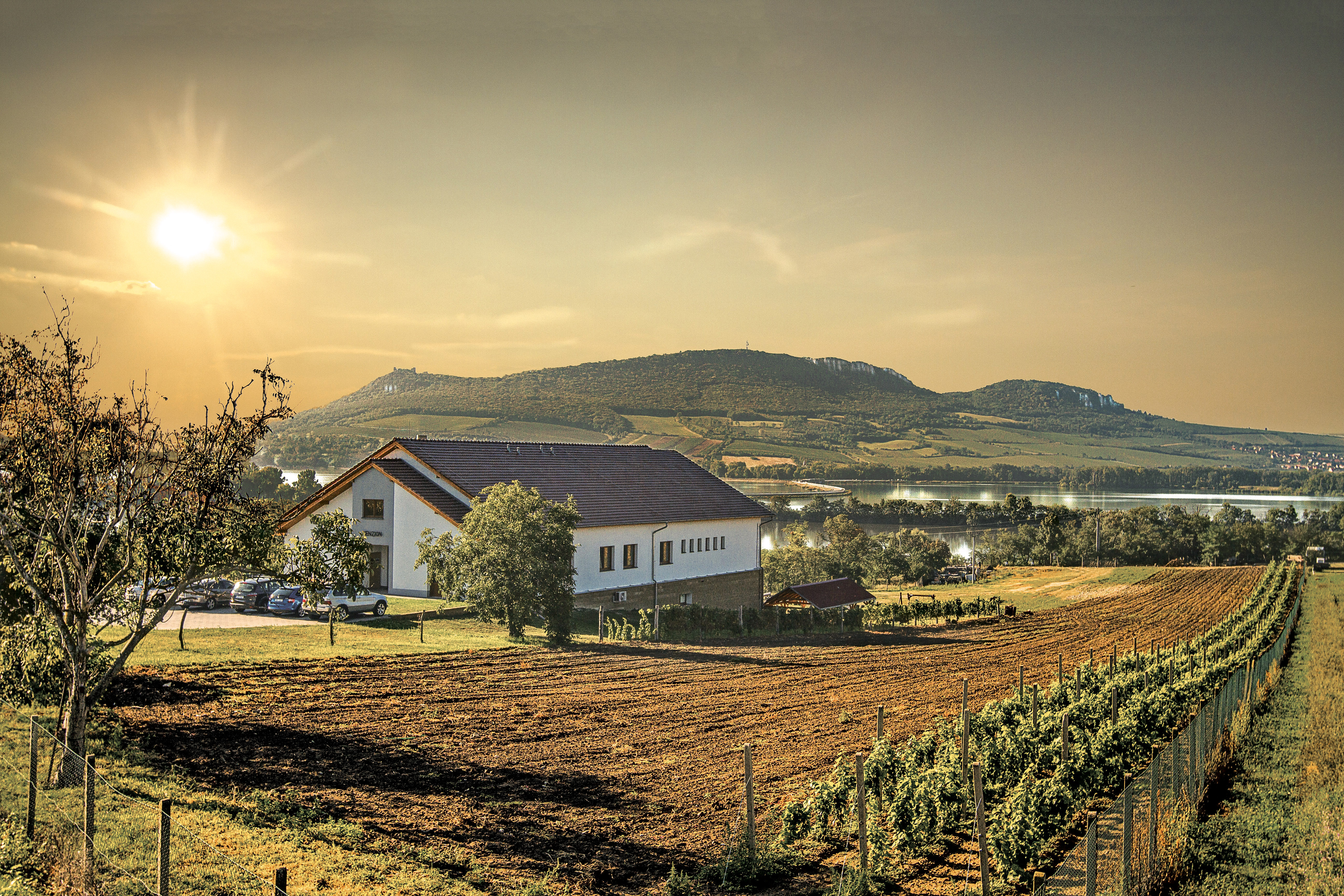 Moravia - pixabay jindrabuzek-wine-4565919.jpg