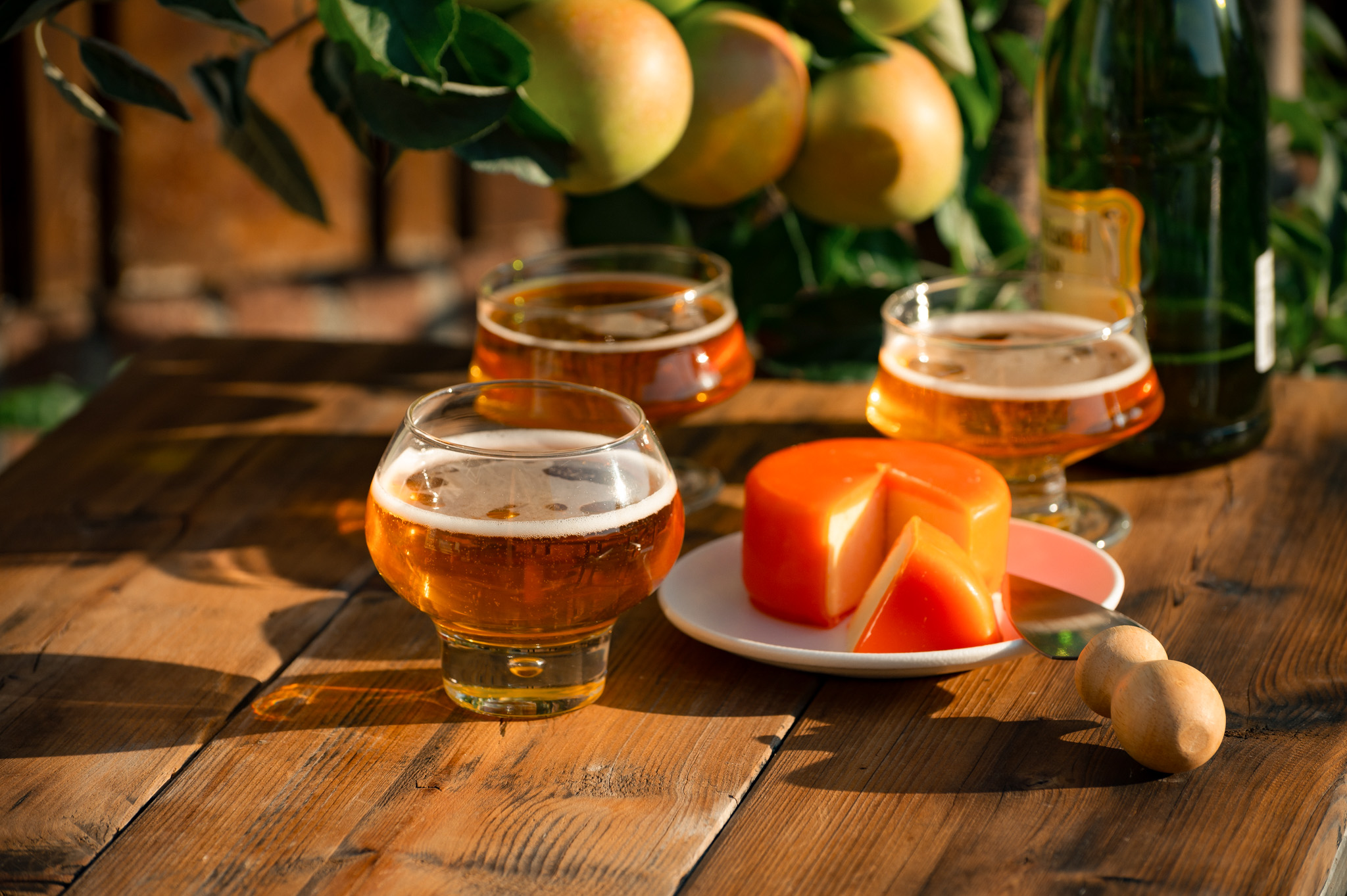 AppleCiderInGlasses_UK_SR_OmtankeBase_ShutterstockUnlimited_20251117.jpg